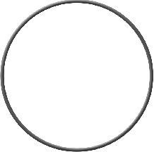 VITON O-RING ASA GROOVE