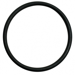 Kalrez Centering Ring O-Ring